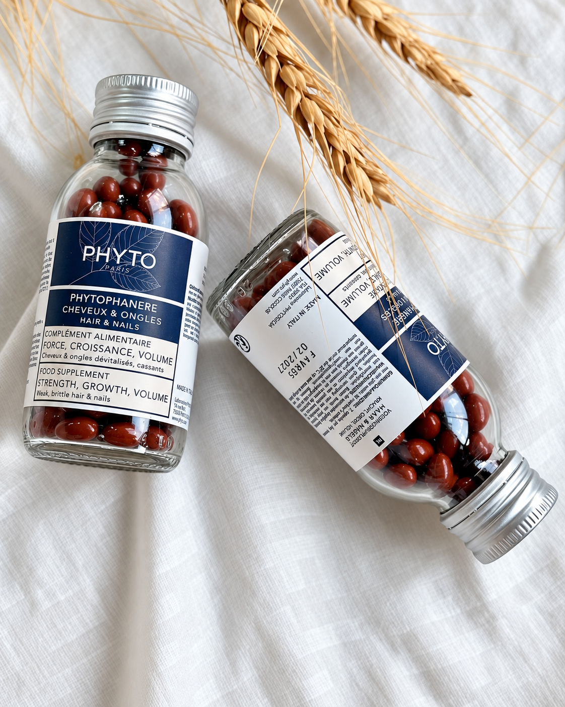 PHYTO Phytophanere